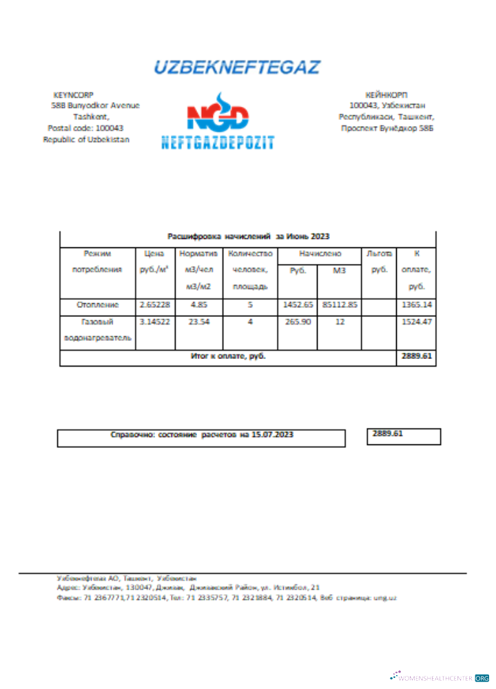 Download Uzbekneftegaz utility business bill, SCR Photoshop template
